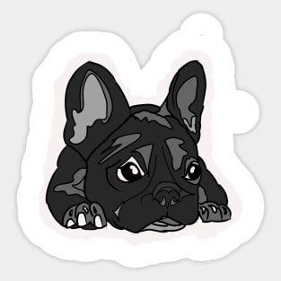 black lazy bulldog lying down Sticker